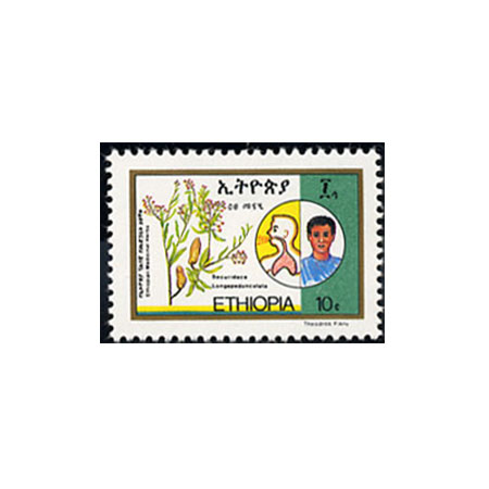 Timbres
