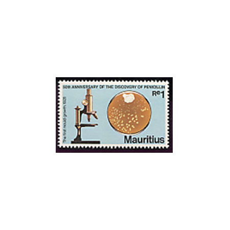 Timbres