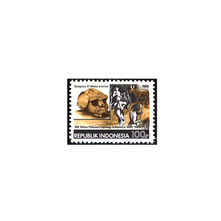 Timbres