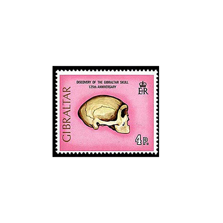 Timbres
